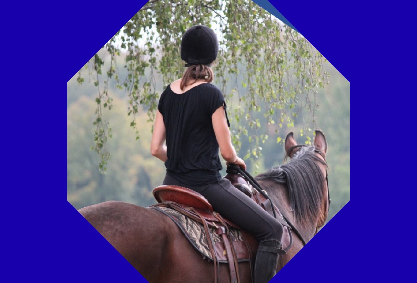 Freestyle Reiten Level 2 – Teil 2/5